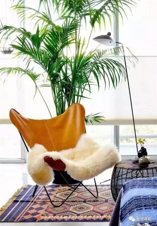 臥室綠植營造清新空間！